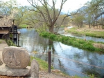 Wasabi Farm in Spring